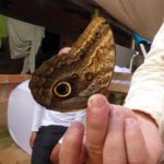 caracterización biológica