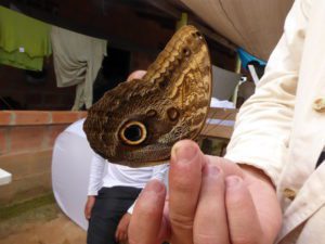 caracterización biológica