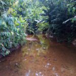 caracterización biológica