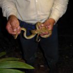 caracterización biológica